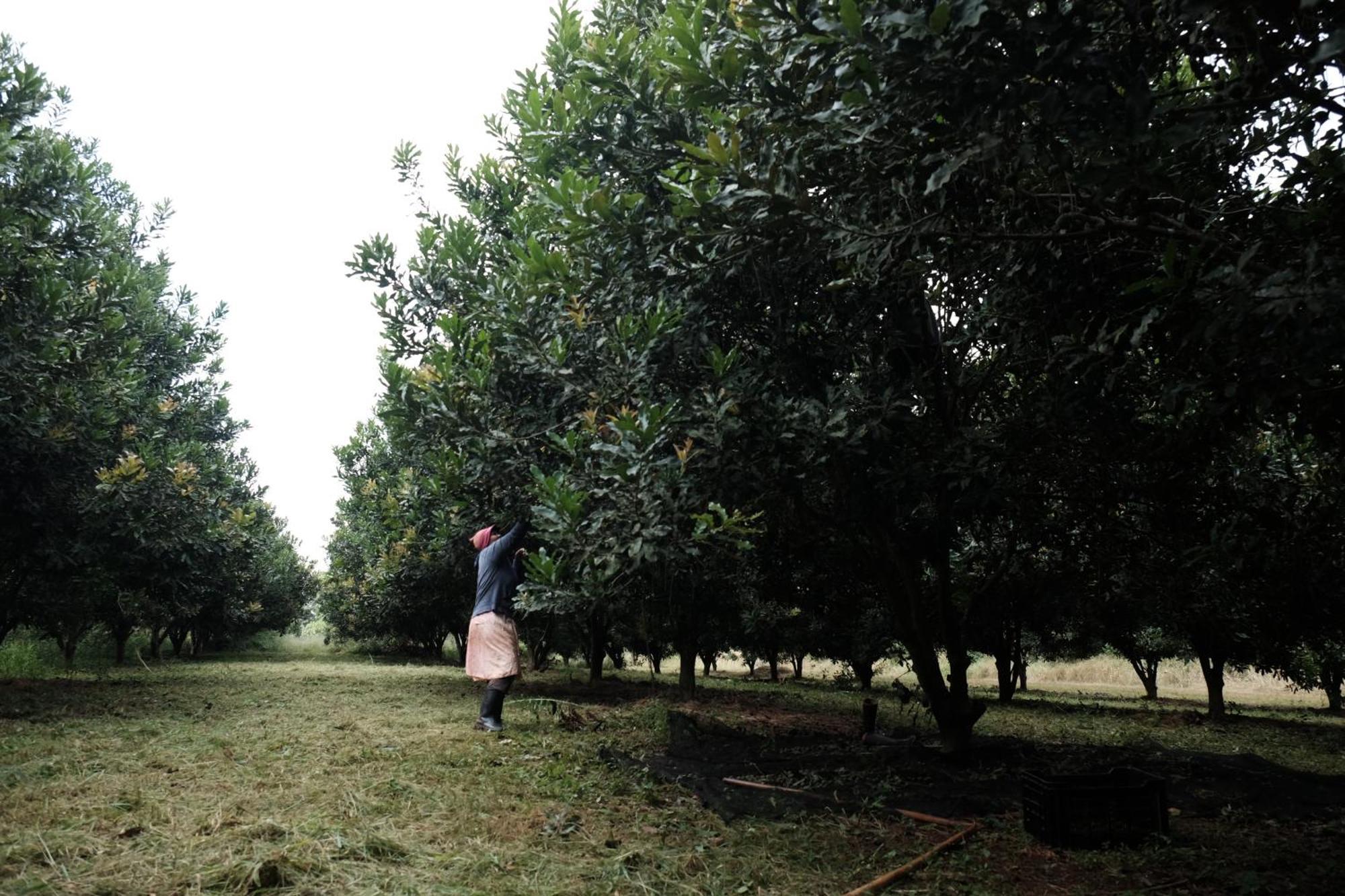 Mabuda Guest Farm Siteki Bagian luar foto